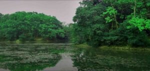Lake-of-Bhawal-National-Park