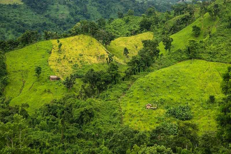 Jhum Cultivation at Bandarban