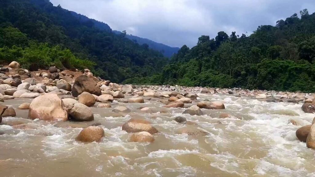 The Beauty Of Rangpani