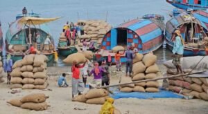 Ashuganj Rice market